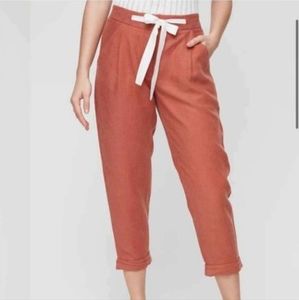 COPY - Wifred Allant pants from Aritzia